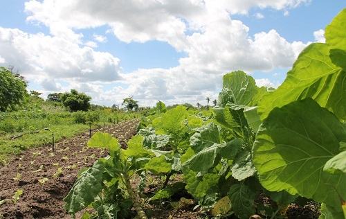 1660619724187582.png image.png