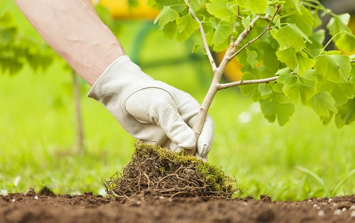 1662616516561255.png image.png