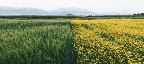 1669788911234441.png image.png